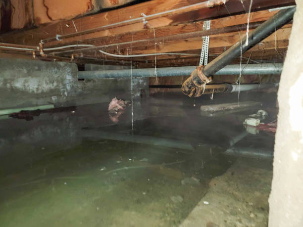 Fairview, GA Water damage restoration Pros