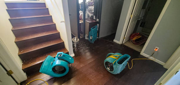 Best Water damage restoration near me  in Fairview, GA