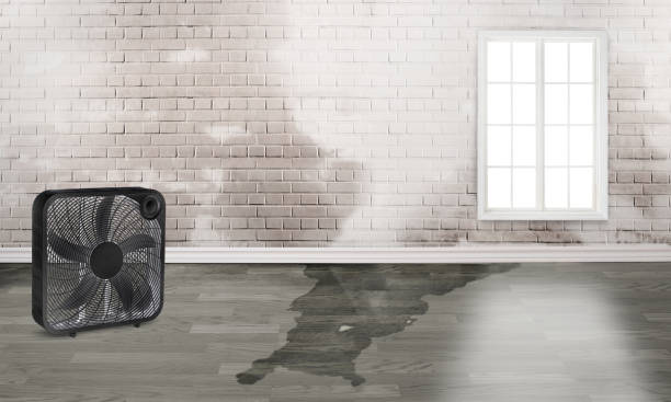 Best Emergency water damage restoration  in Fairview, GA